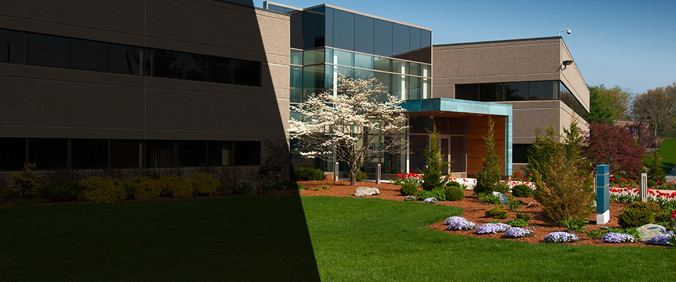 Mount Airy Landscapers