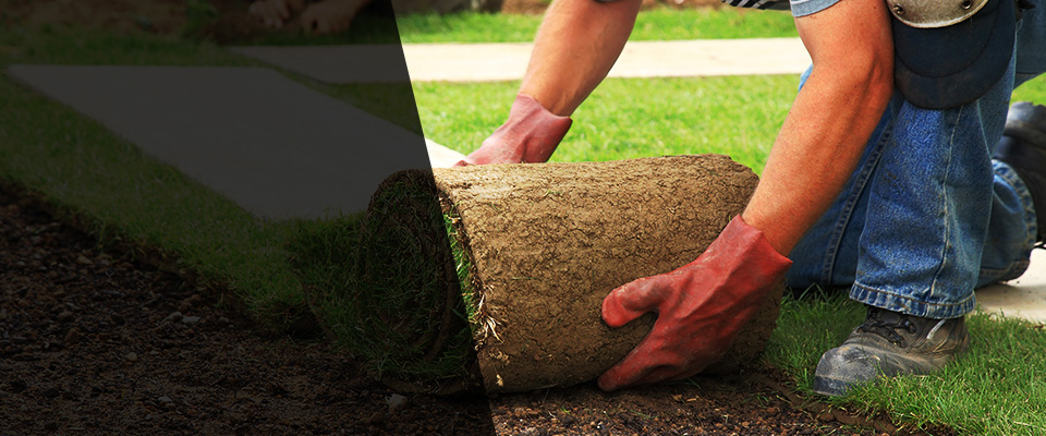 Mount Airy Landscapers